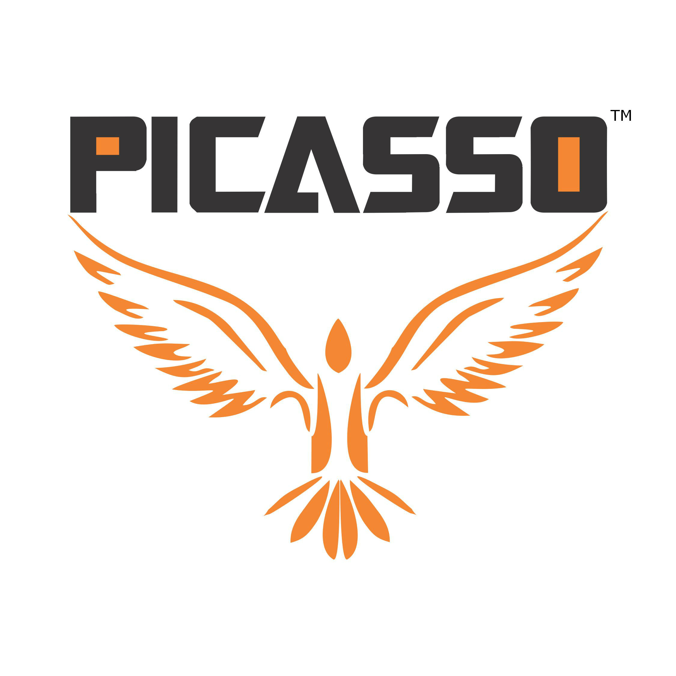 Picasso New Logo Intro